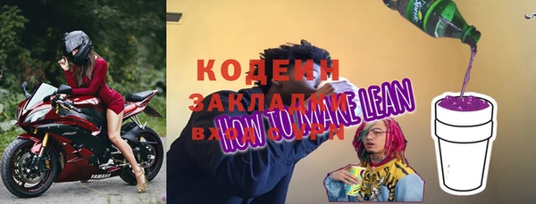хмурый Аркадак
