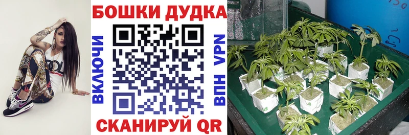 ссылка на мегу ссылка  купить закладку  Радужный  МАРИХУАНА White Widow 